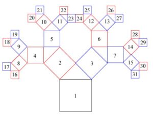 Pythagorean tree with matrices and binary numbers